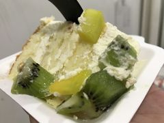-维尔纳斯·生日蛋糕·动物奶油冰淇淋蛋糕(六里桥店)