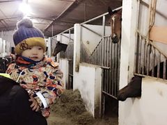 -月河湾马术俱乐部(朝阳店)