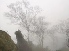 -綦江古剑山