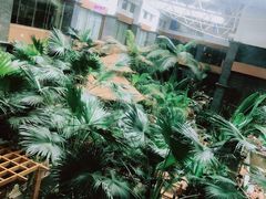 -陆地游轮吉林神农温泉