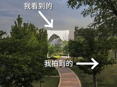 -窗外西餐厅(普罗理想国店)