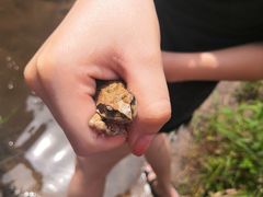 -碓臼峪自然风景区