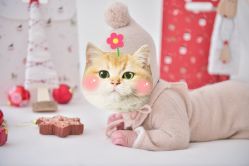 -爱你宝贝儿童摄影(西湖云端店)