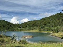 -武陵山森林公园