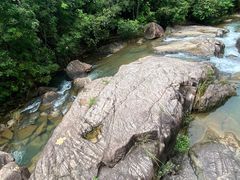 -广州白江湖森林公园