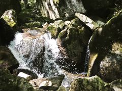 -牛背梁国家森林公园