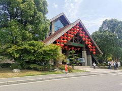 -铁山坪森林公园