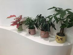 -艾薯夫妇Aysh(福田星河COCOPark店)