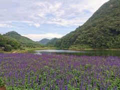 -广州市石门国家森林公园