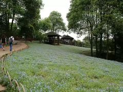 -保利石象湖景区
