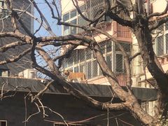 -小龙坎老火锅(红旗街店)