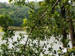 -火炉山森林公园