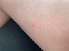 -杭州温德姆至尊豪廷大酒店