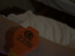 -皇室假期美食水疗会(春风路店)