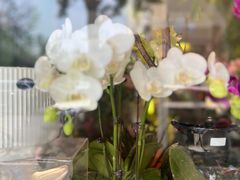 -MCJ-花店(西罗园店)