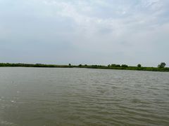 -宁波杭州湾国家湿地公园
