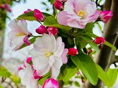 -元大都城垣遗址公园