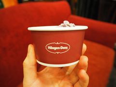 哈根达斯-四海一家自助餐(益田假日广场店)