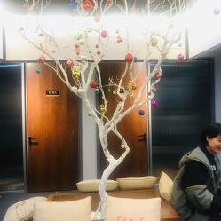 -FineYoga梵音瑜伽·普拉提