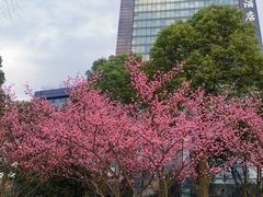 -杭州城北体育公园