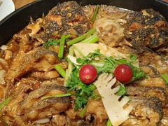 -老板恋上鱼(恒隆广场店)