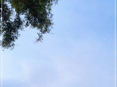 -南锣鼓巷