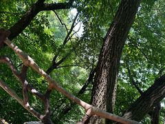 -终南山南五台景区