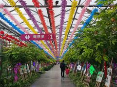 -南宫五洲植物乐园