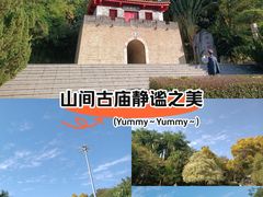 -深圳国际园林花卉博览园