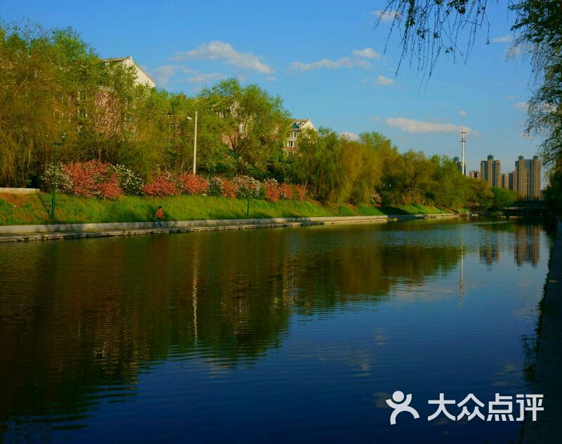 南运河带状公园图片 - 第28张