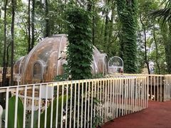 -二荆条·城市森林火锅旗舰店