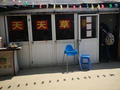 -青浦采草莓天天草莓园