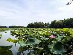 -三山岛