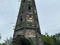 -上海佘山国家森林公园天马山园