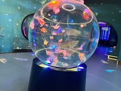 -南昌融创海世界