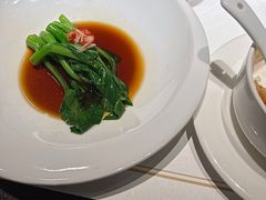 -觀芷隐轩