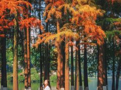 -重庆彩云湖湿地公园