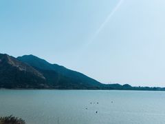 -羚羊峡古栈道森林公园