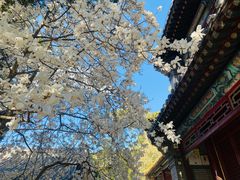 -潭柘寺景区