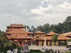 -三水森林公园