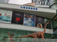 -棕榈MALL