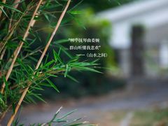 -厦门悦华酒店