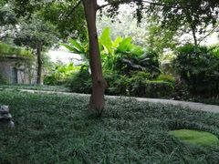-成都市活水公园