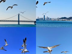 -海胆小馆(春柳店)