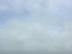 -白沙门生态公园