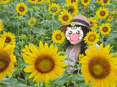 -苏州湾体育公园
