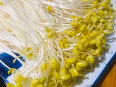 -蜀辣居鲜货老火锅(红牌楼店)