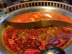 -辣伍鲜毛肚老火锅(元一店)
