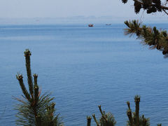 -养马岛旅游度假区