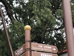 -北京市劳动人民文化宫(太庙)